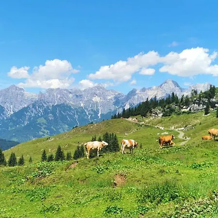 Maria Alm - Komfortables Gipfelglueck Зальфельден